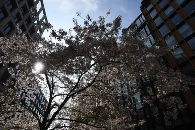 DSC_6856 (Large).JPG